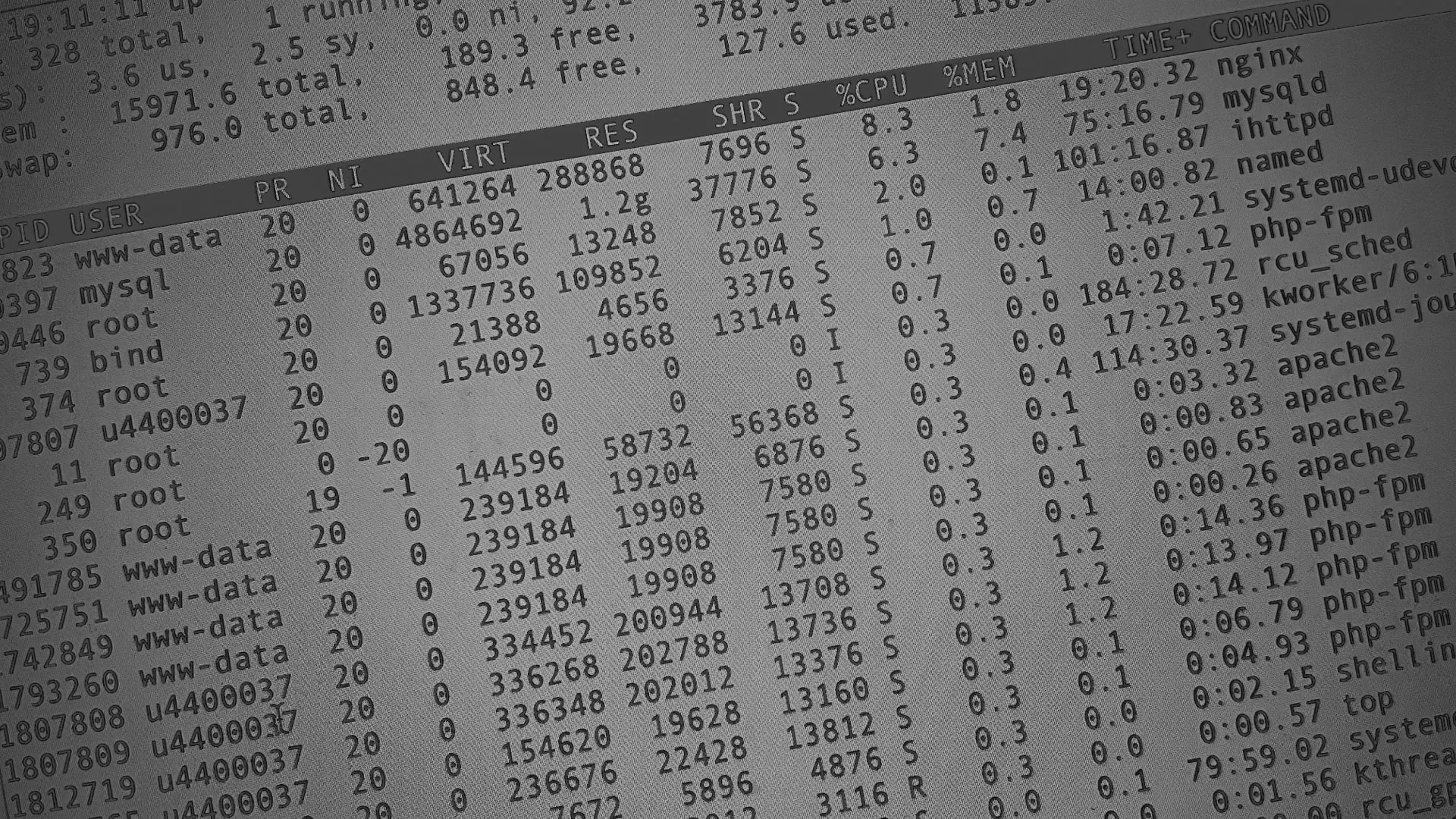 Настройка сервера в Пустошке