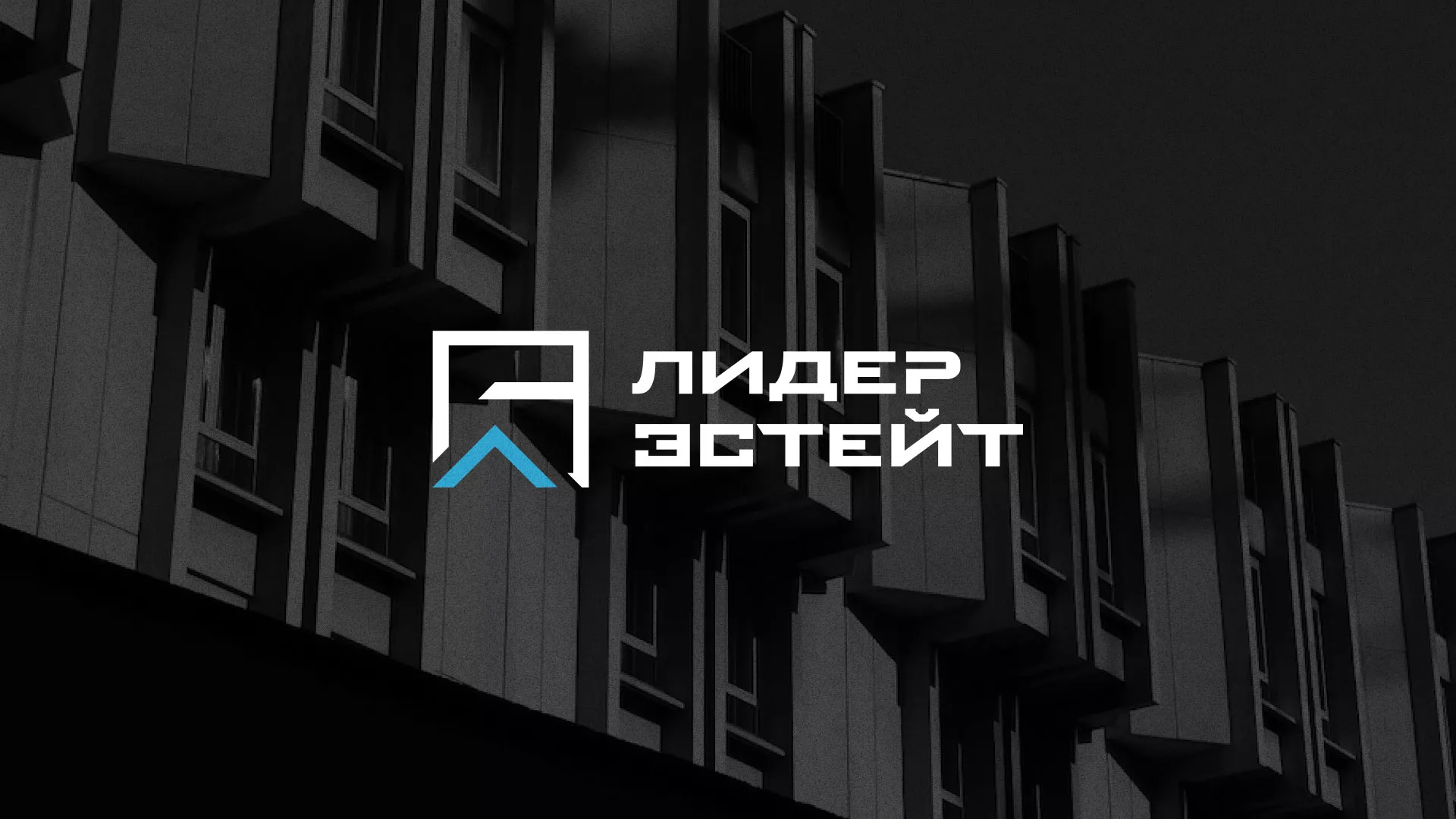 Разработка логотипа агентства недвижимости «Лидер Эстейт» в Пустошке